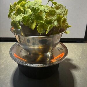 Vtg Cordova Stainless Steel Gravy Boat & Underplate Candy Dish / Plant Holder